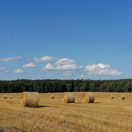 Ferienwohnung Fernblick Osdorf Zewnętrze zdjęcie